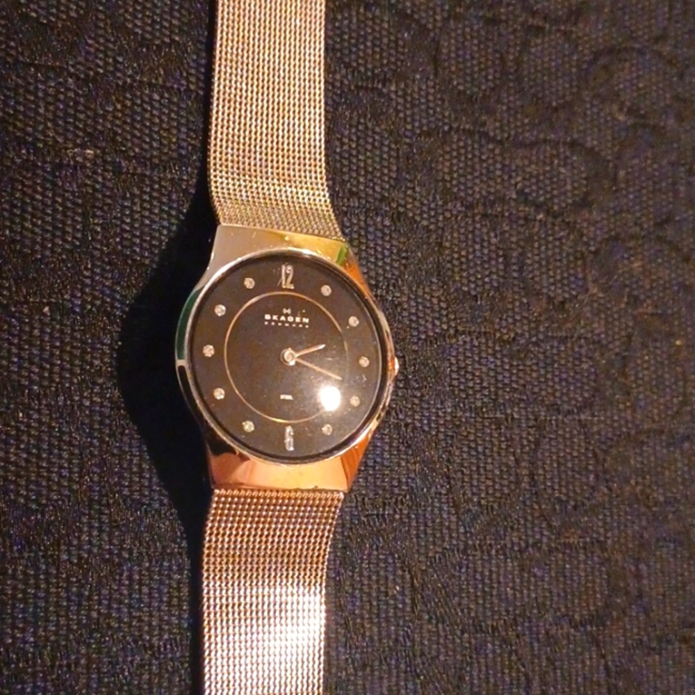 Steel and Crystal Skagen Slimline Designer Watch